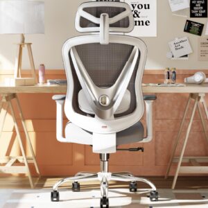 HOLLUDLE Ergonomic Mesh Office Chair - 3D Adjustable Lumbar Support & 3D Armrests, V-Shaped Back, Adjustable Desk Chair for Office & Home, White