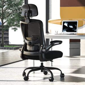 Zeonsit Ergonomic Office Chair, High Back Mesh Desk Chair with Adjustable Lumbar Support & Headrest, Flip-up Armrest, Computer Task Chairs for Home and Executive Office (B-Black)