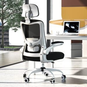 Zeonsit Ergonomic Office Chair, High Back Mesh Desk Chair with Adjustable Lumbar Support & Headrest, Flip-up Armrest, Computer Task Chairs for Home and Executive Office (W-Black)